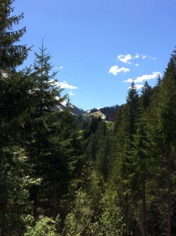 image7-2019-06-02.jpg