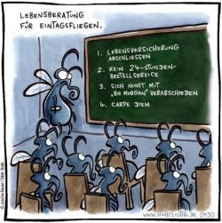 3Unbenannt.JPG