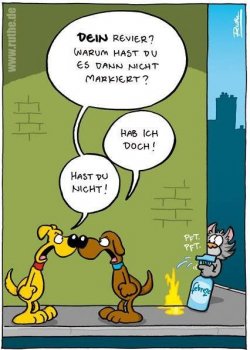 5Unbenannt.JPG