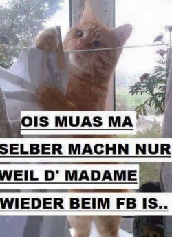 tttUnbenannt.JPG