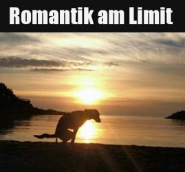 6Unbenannt.JPG
