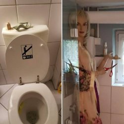 W 2.jpg