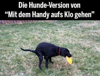 2Unbenannt.JPG