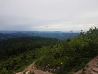 20190609_165024k278.jpg
