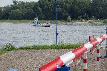 IMG_1542 - Kopie.JPG
