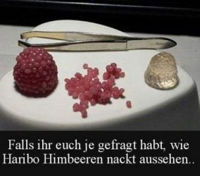 7Unbenannt.JPG