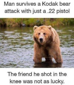 8Unbenannt.JPG