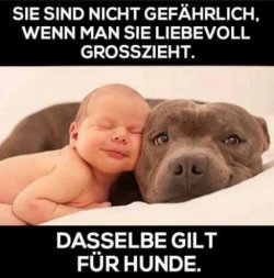 tUnbenannt.JPG