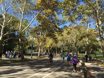 A525F64D-6350-4125-B0F1-B0CF680A6C09.jpeg A525F64D-6350-4125-B0F1-B0CF680A6C09.jpeg