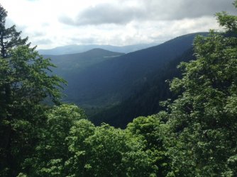 IMG_5629.JPG