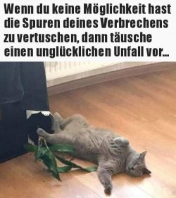 FB_IMG_1561404808280.jpg