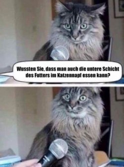 tUnbenannt.JPG
