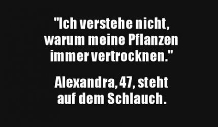 6Unbenannt.JPG