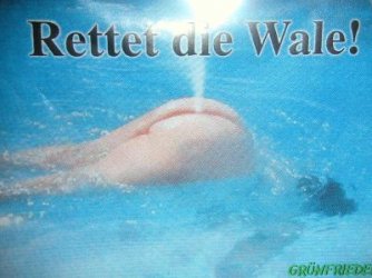 wale.jpg
