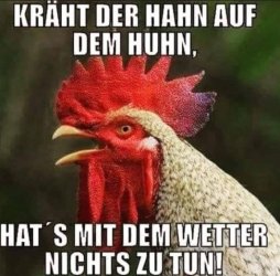4Unbenannt.JPG