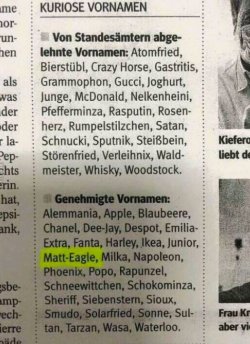 8Unbenannt.JPG