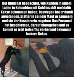 tUnbenannt.JPG