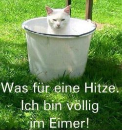 ttUnbenannt.JPG