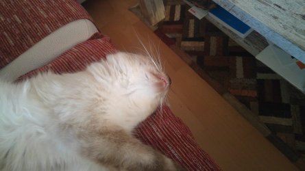 20190703_195714klein.jpg