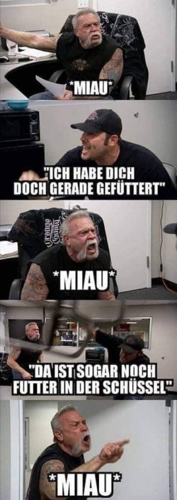 Miau.jpg