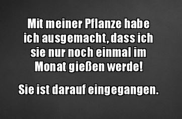 4Unbenannt.JPG