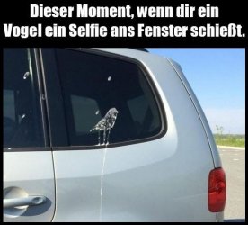 7Unbenannt.JPG