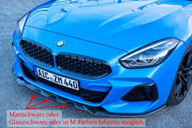 Z4-G29-Carbonschwert.jpg