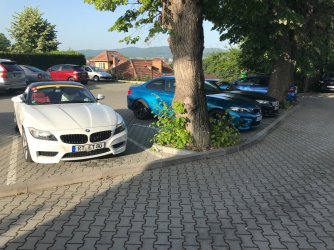 IMG_5499.jpg