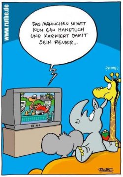 11Unbenannt.JPG