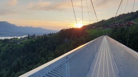 20190710_210649_small.jpg