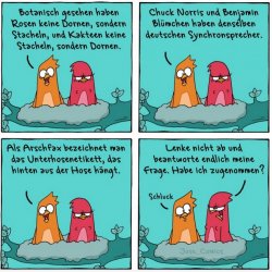 2Unbenannt.JPG