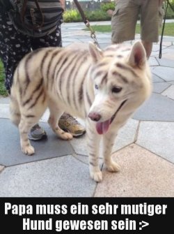 tttUnbenannt.JPG