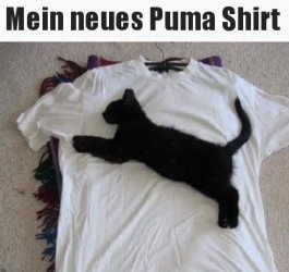 tUnbenannt.JPG