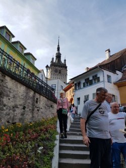 20190629_180929.jpg