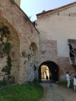 20190630_115016.jpg