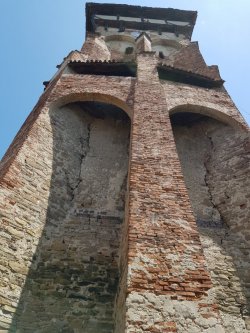 20190630_141621.jpg