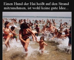 20190716_110233.jpg