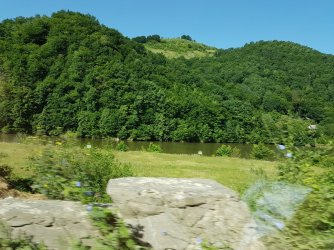 20190701_094049.jpg