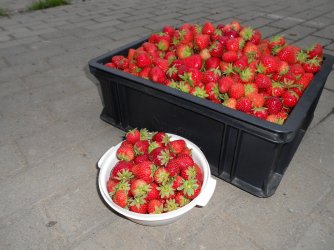 bild6.jpg