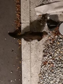 IMG_20190716_230905.jpg