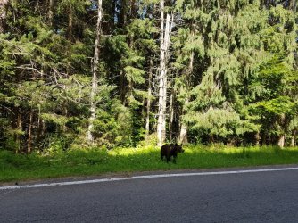 20190702_101653.jpg