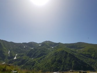 20190702_103952.jpg