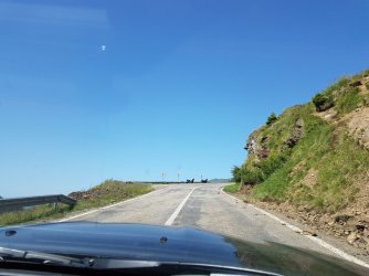 20190702_103640.jpg