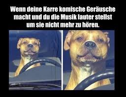 images (1).jpeg