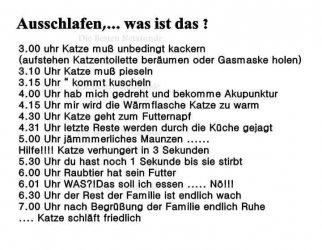 K 3.jpg