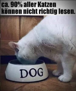 5A719AAC-963F-4340-91CB-CFC98792ED5C.jpeg