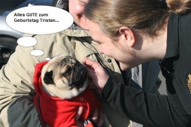 IMG_1294_Sprechblase_geburtstag.jpg