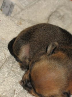 2007-07-02 070.jpg