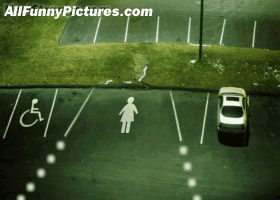 post-838-1150974522.gif