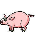 Schweinchen.gif